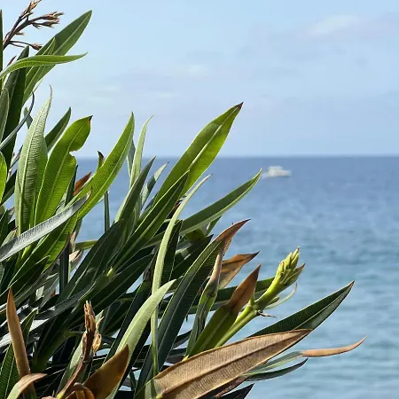 The Yellow House بيت للعطل