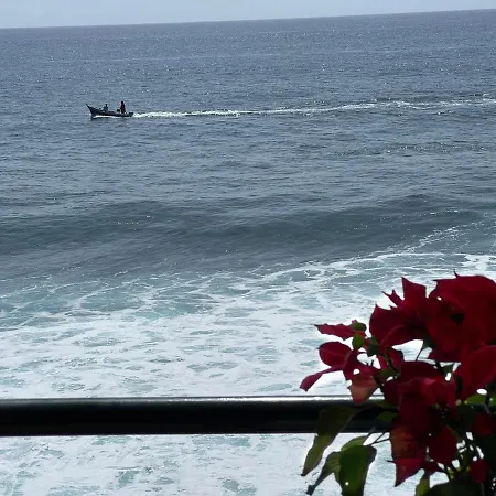 The Yellow House Casa de Férias Paul do Mar (Madeira)