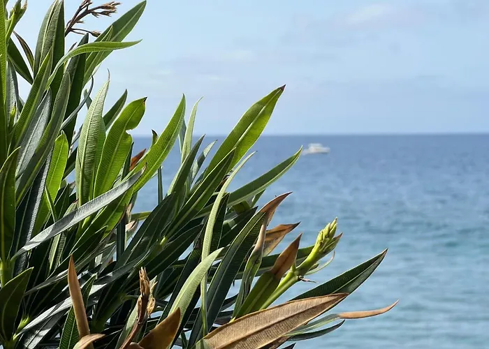 The Yellow House בית נופש