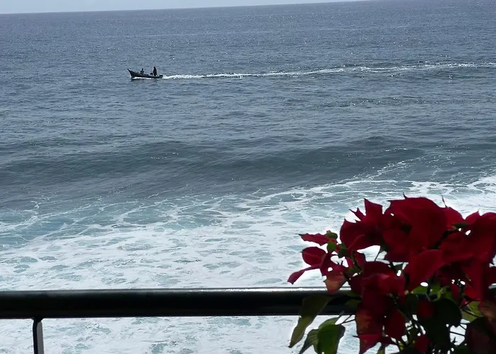 The Yellow House Σπίτι διακοπών Paul do Mar (Madeira)